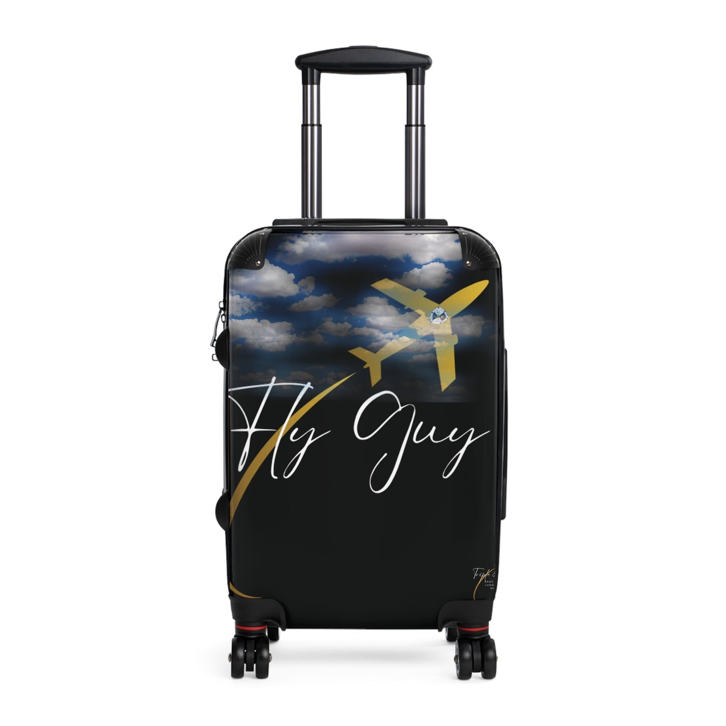 Fly Guy Travel Suitcase