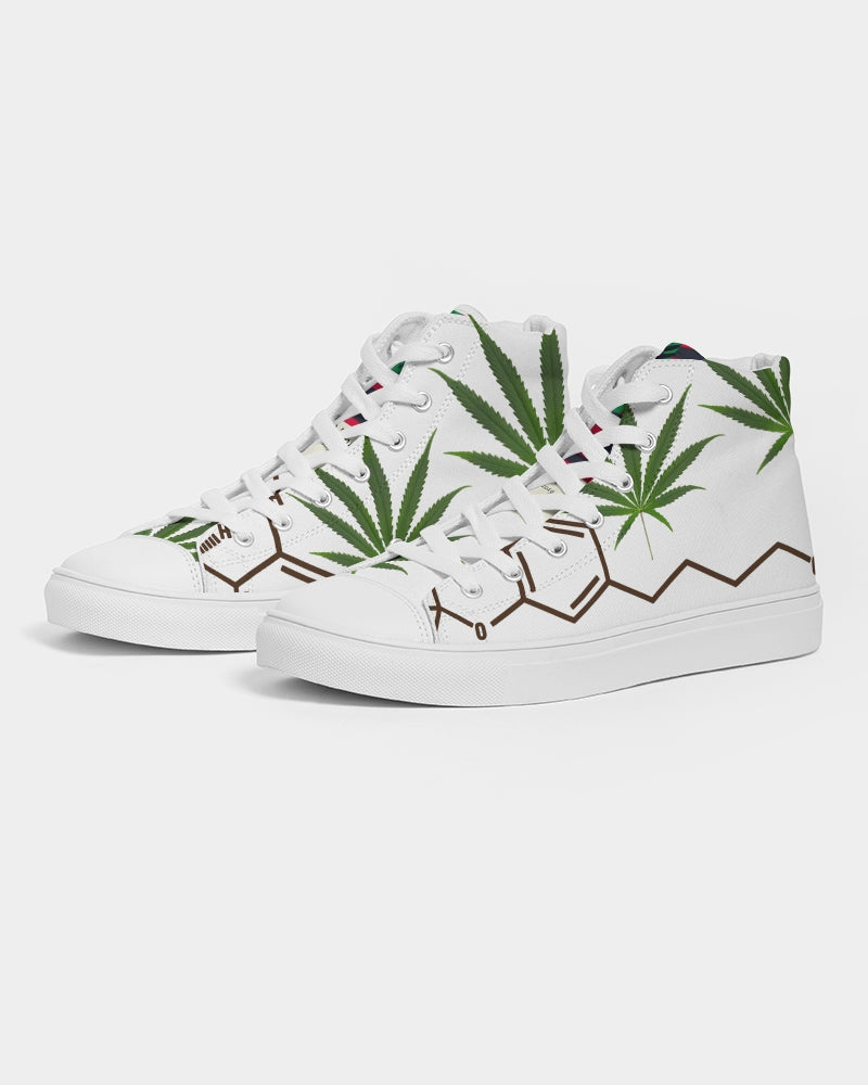 The Molecular Structures Men's Hightop Canvas Shoe