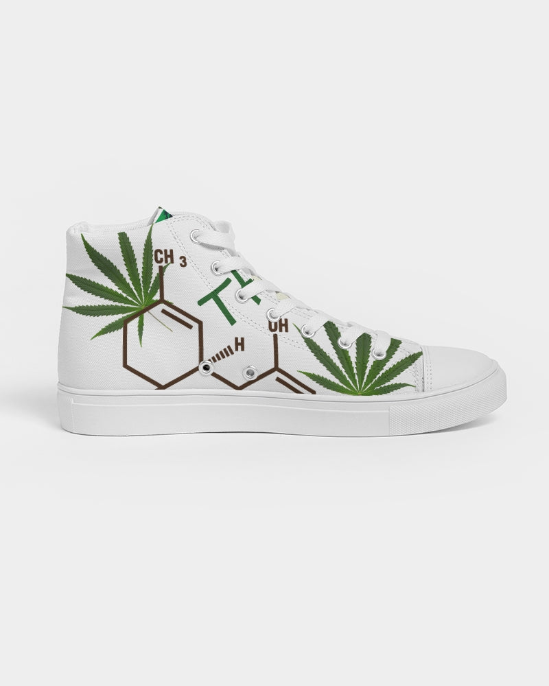 The Molecular Structures Men's Hightop Canvas Shoe