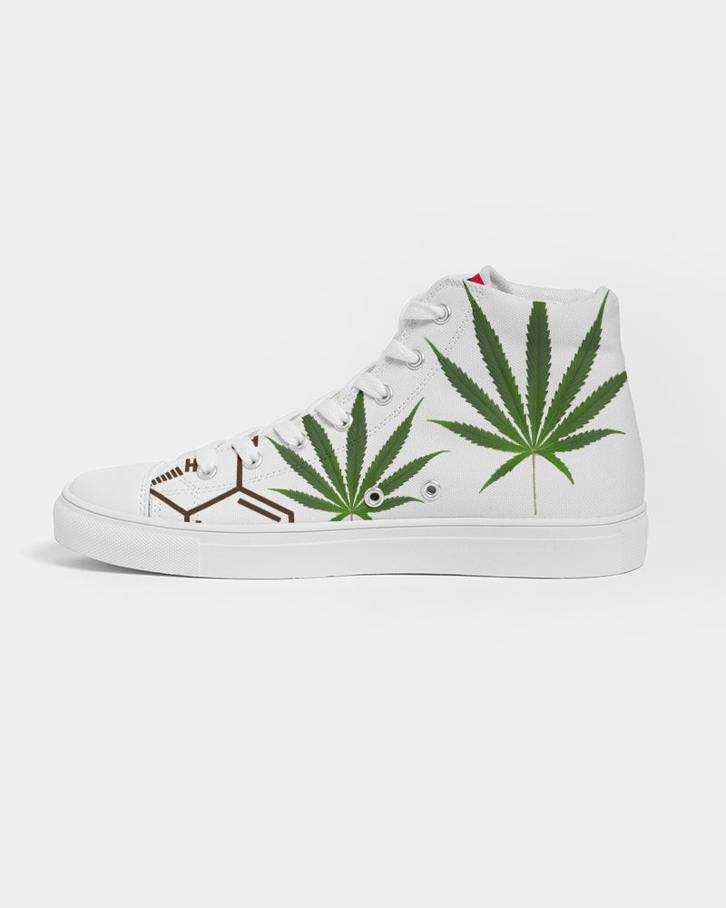 The Molecular Structures Men's Hightop Canvas Shoe