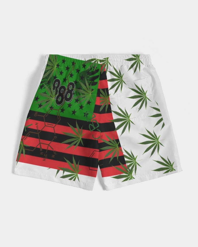Have Focus Hussle 2 Men's Swim Trunk