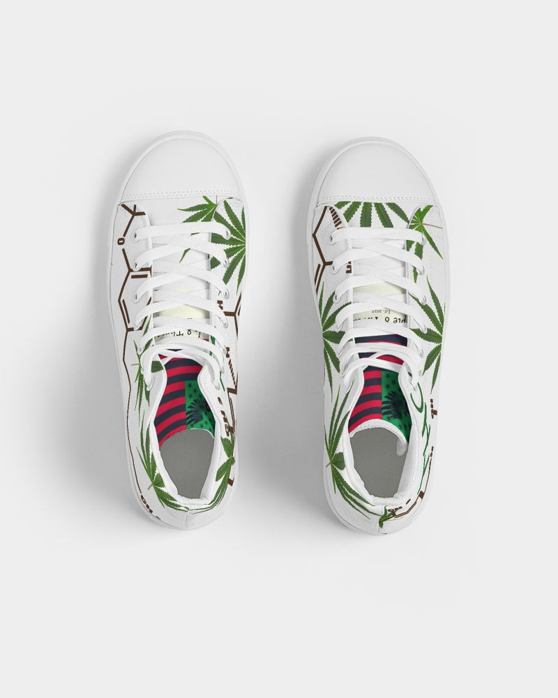 The Molecular Structures Men's Hightop Canvas Shoe