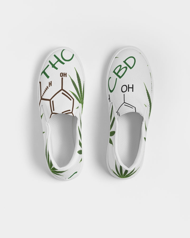 The Molecular Structures Men's Slip-On Canvas Shoe