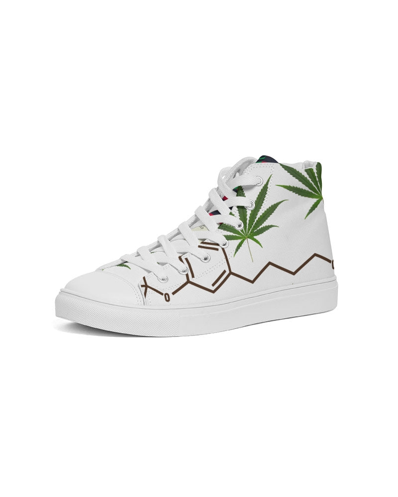 The Molecular Structures Men's Hightop Canvas Shoe