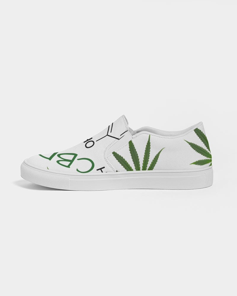The Molecular Structures Men's Slip-On Canvas Shoe
