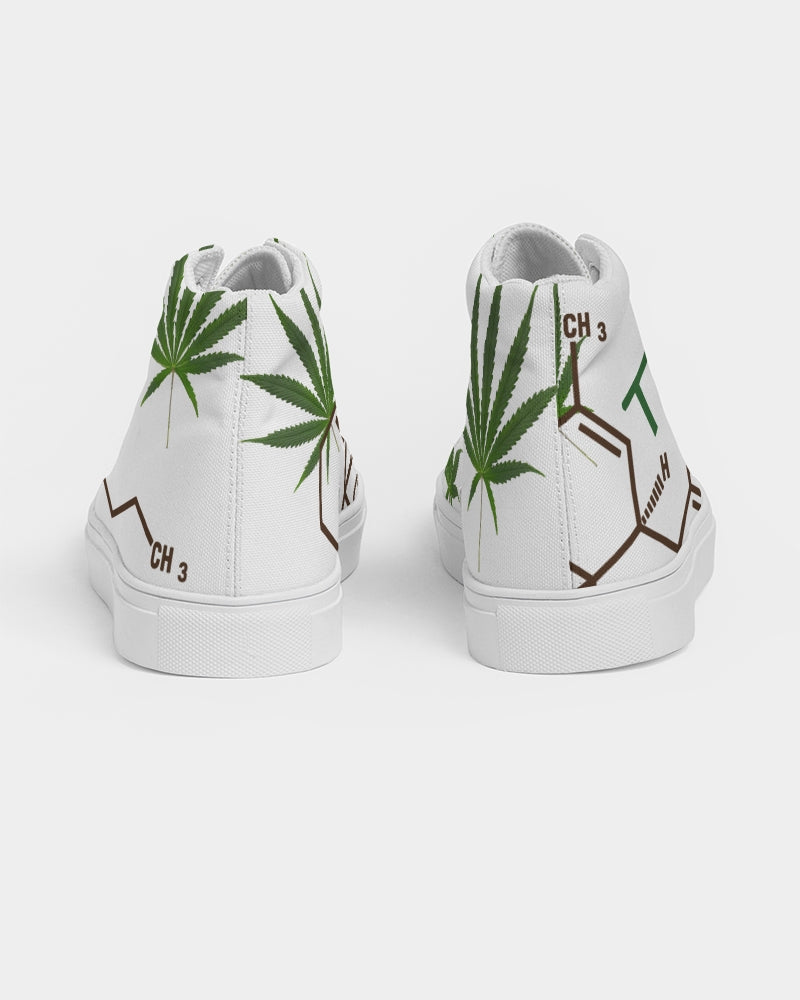 The Molecular Structures Men's Hightop Canvas Shoe