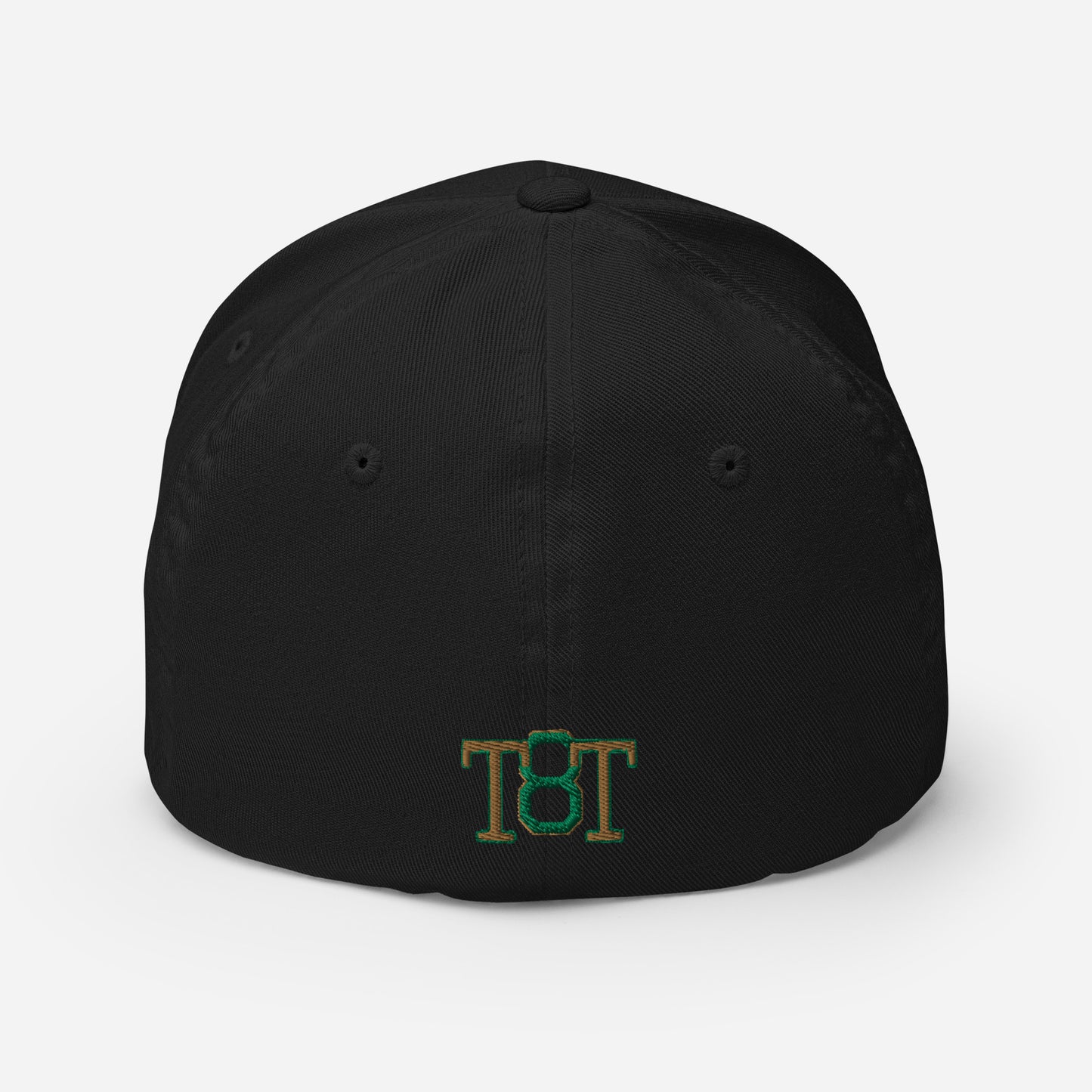 $PAID IN FULL$ Fitted Cap