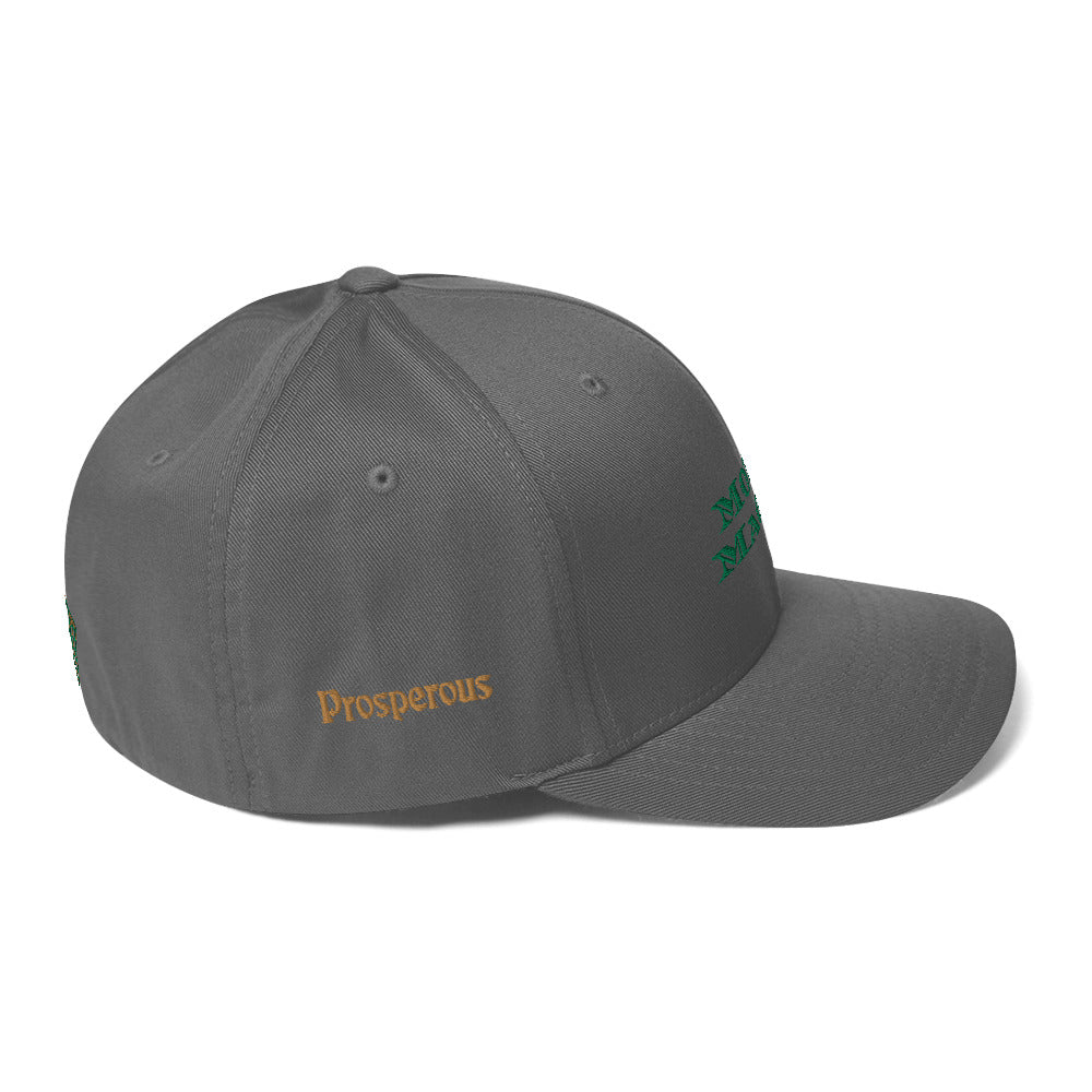 Triple 8 Threads Money Magnet Fitted Cap