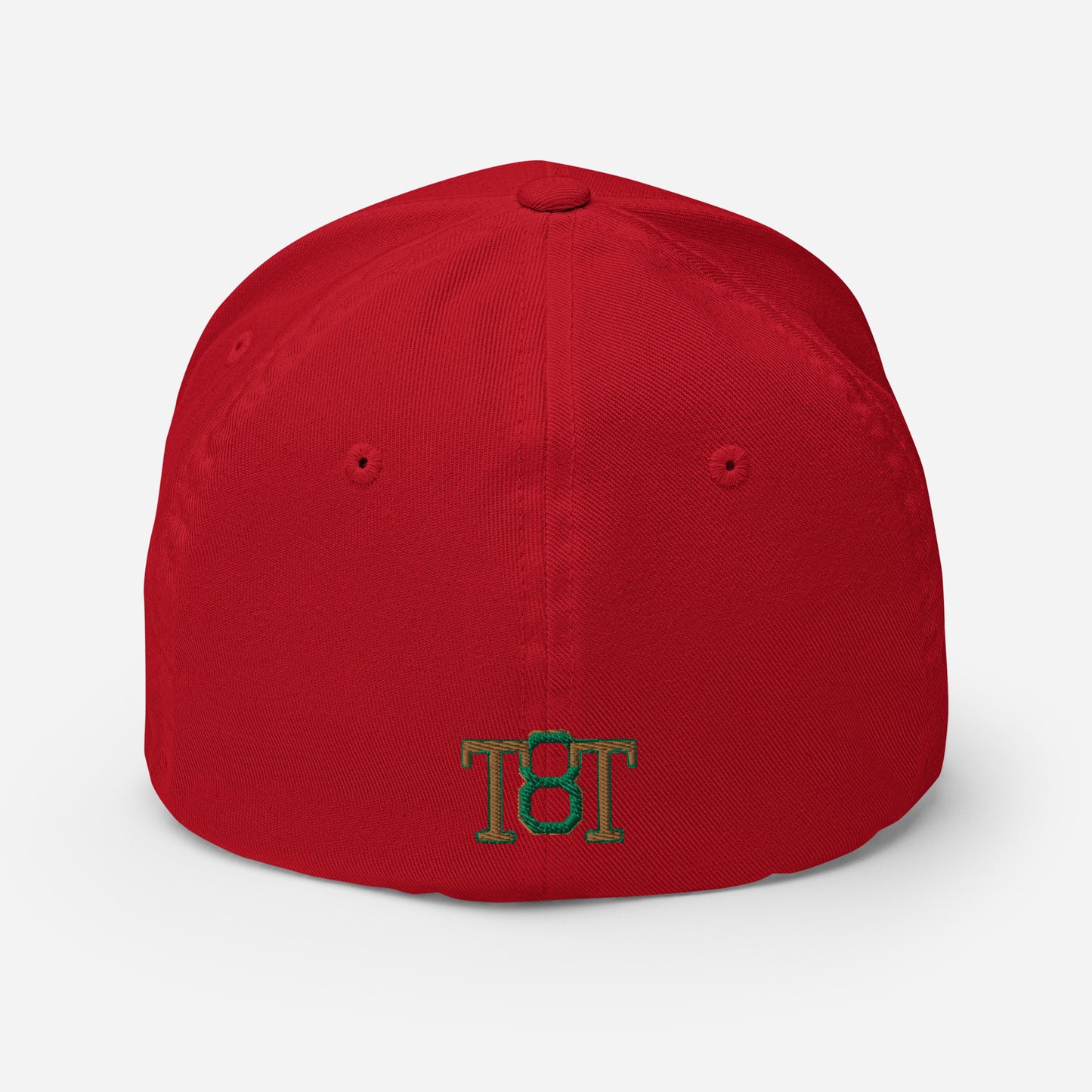 $PAID IN FULL$ Fitted Cap
