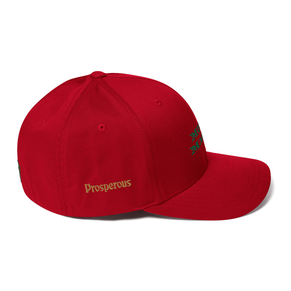 Triple 8 Threads Money Magnet Fitted Cap