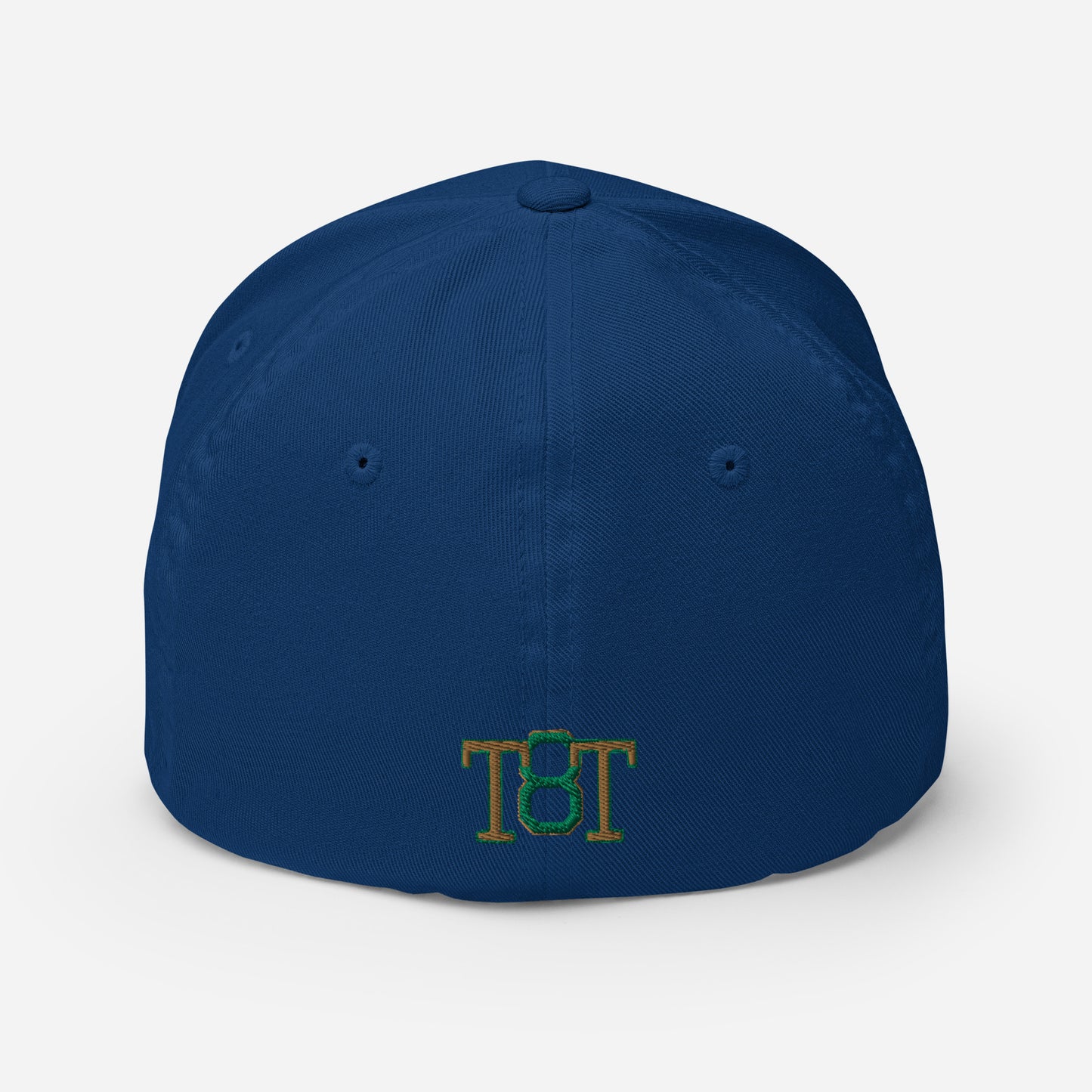 $PAID IN FULL$ Fitted Cap