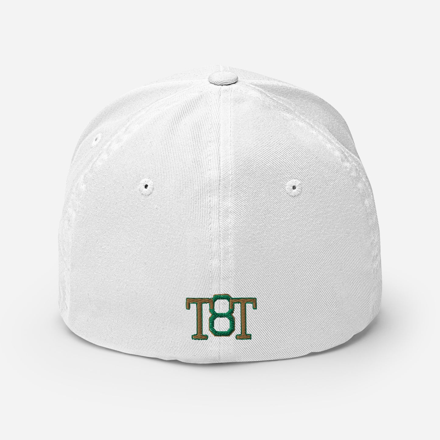 $PAID IN FULL$ Fitted Cap