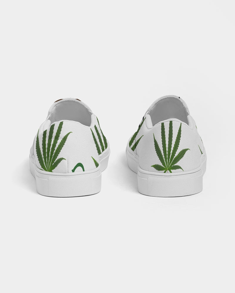 The Molecular Structures Men's Slip-On Canvas Shoe