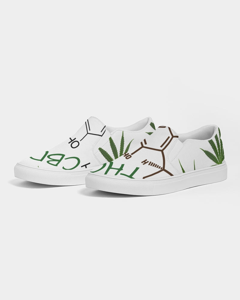 The Molecular Structures Men's Slip-On Canvas Shoe