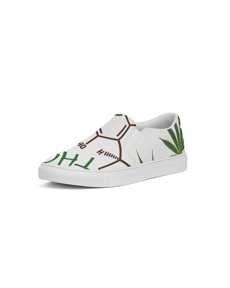 The Molecular Structures Men's Slip-On Canvas Shoe
