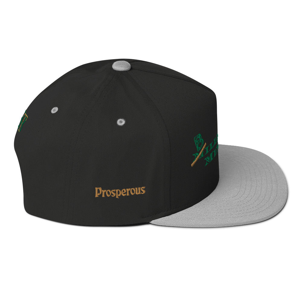 Billionaire Mindset Flat Bill Cap
