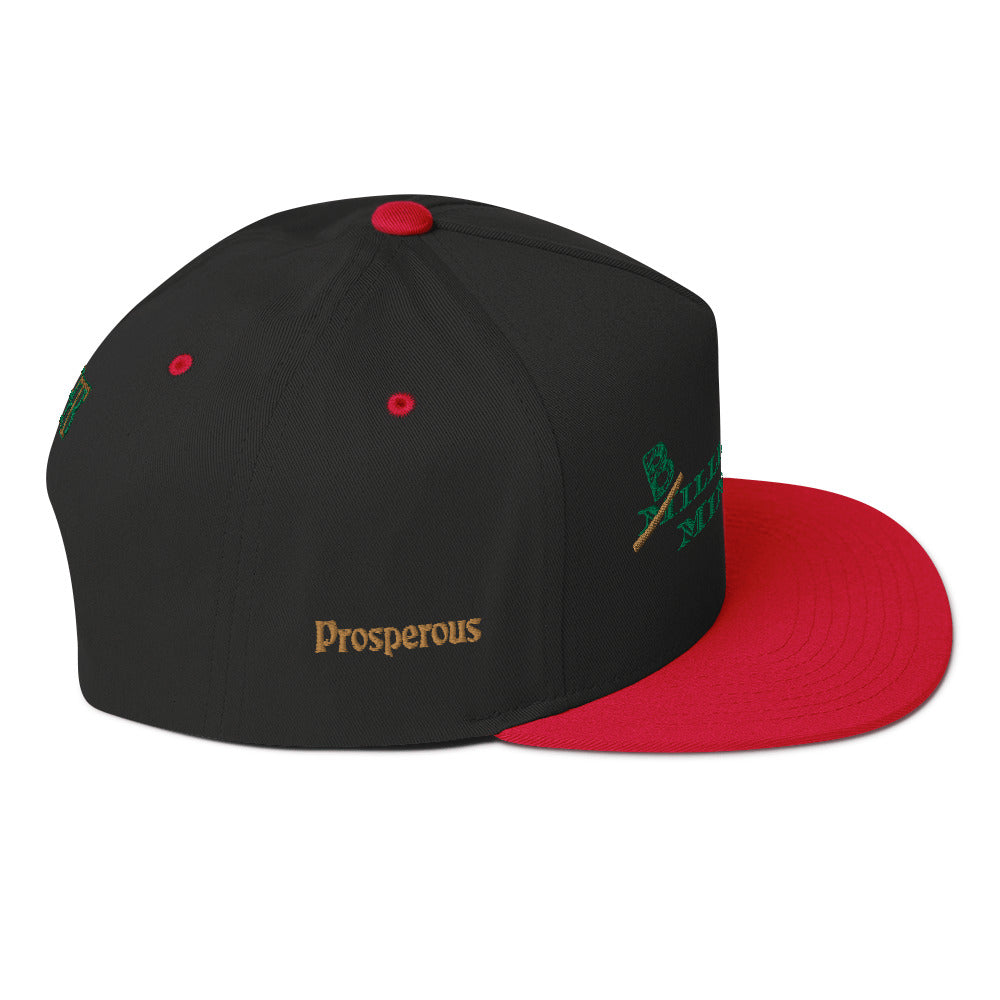 Billionaire Mindset Flat Bill Cap
