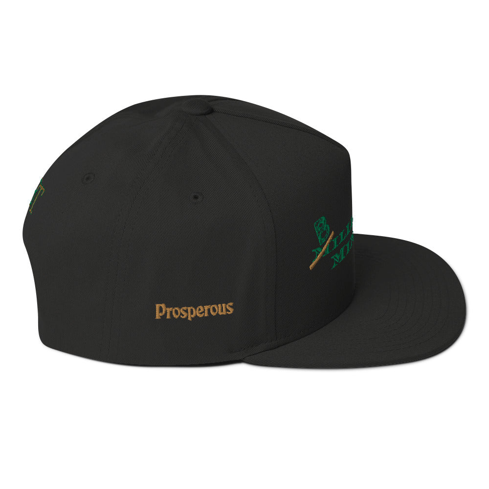 Billionaire Mindset Flat Bill Cap