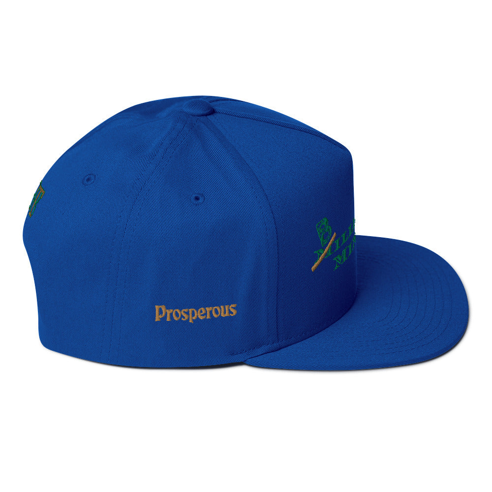 Billionaire Mindset Flat Bill Cap