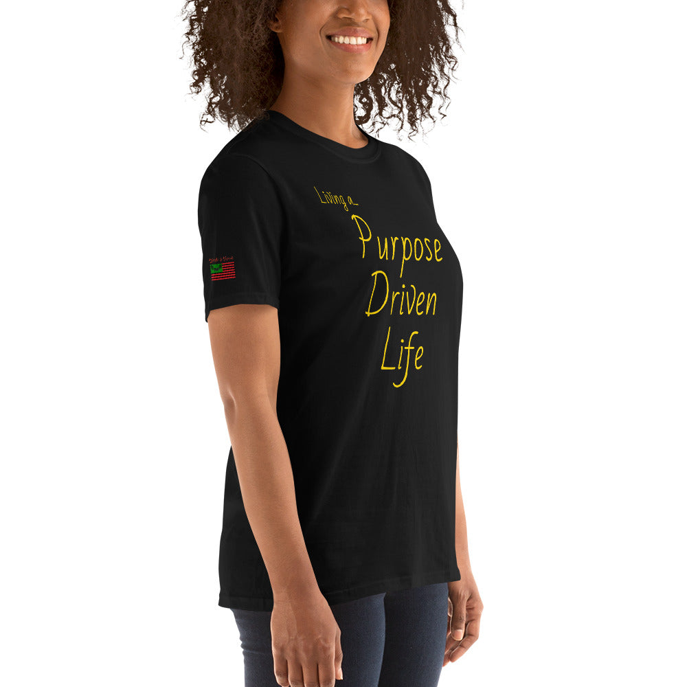 Limited Edition Slay Queen Purpose Driven Life T-Shirt