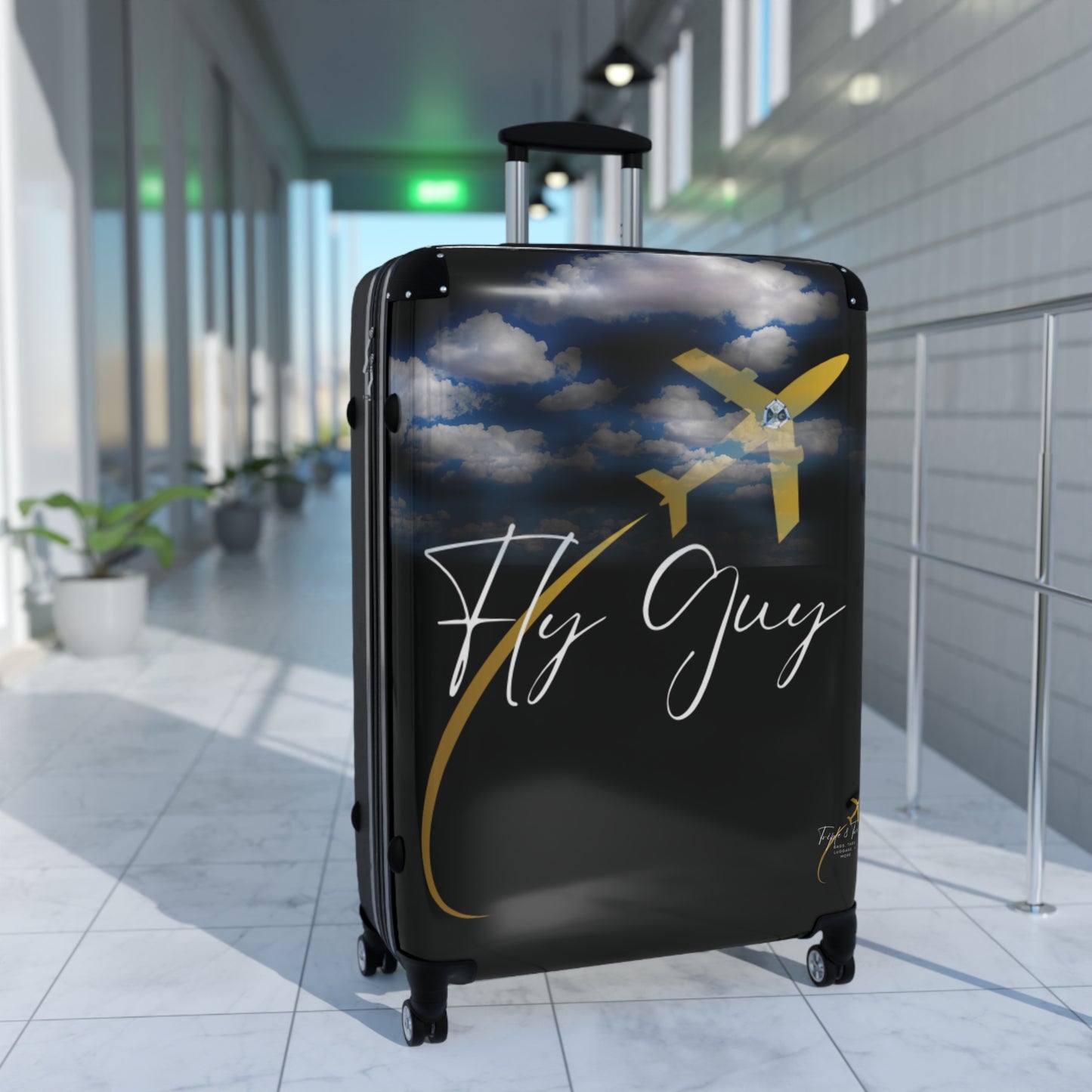 Fly Guy Travel Suitcase
