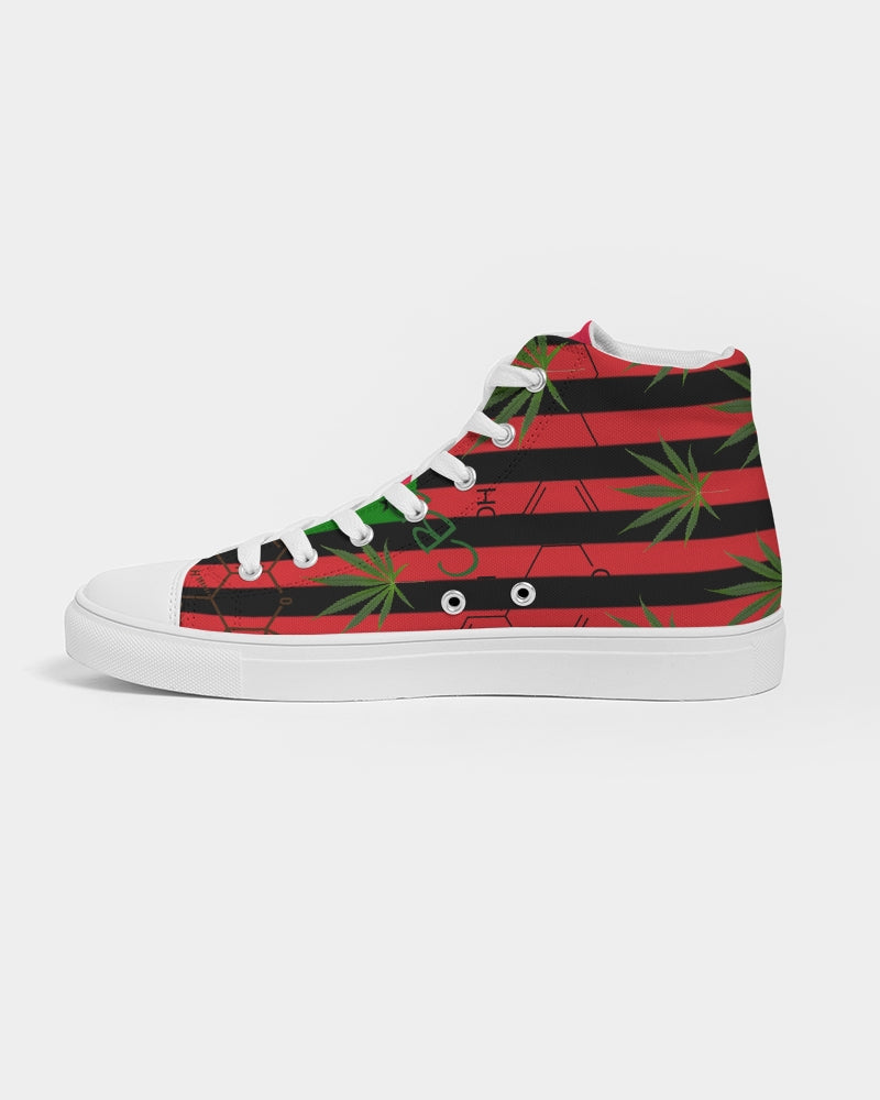 The Molecular Structure- T8T Men's Hightop Canvas Shoe