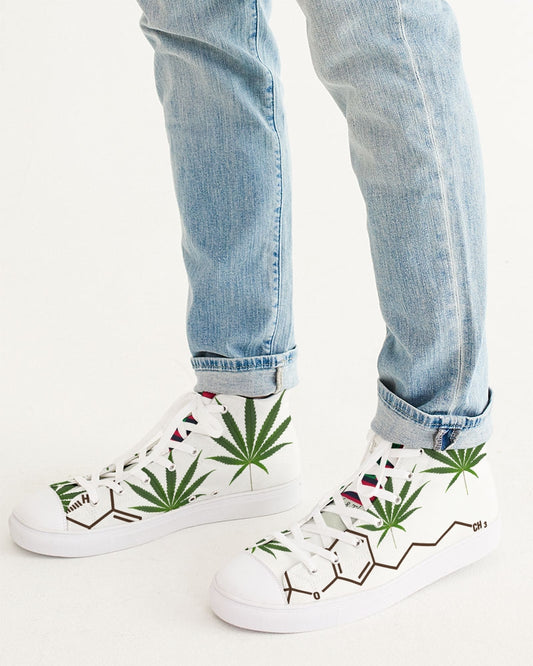 The Molecular Structures Men's Hightop Canvas Shoe