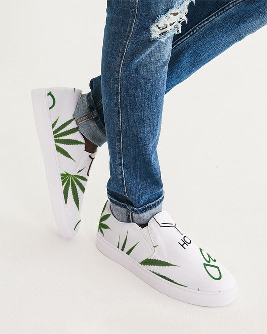 The Molecular Structures Men's Slip-On Canvas Shoe