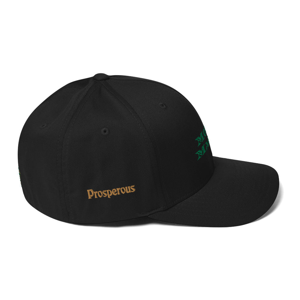 Triple 8 Threads Money Magnet Fitted Cap