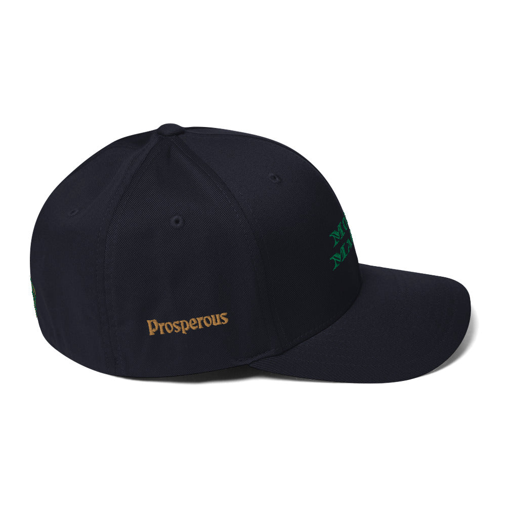 Triple 8 Threads Money Magnet Fitted Cap