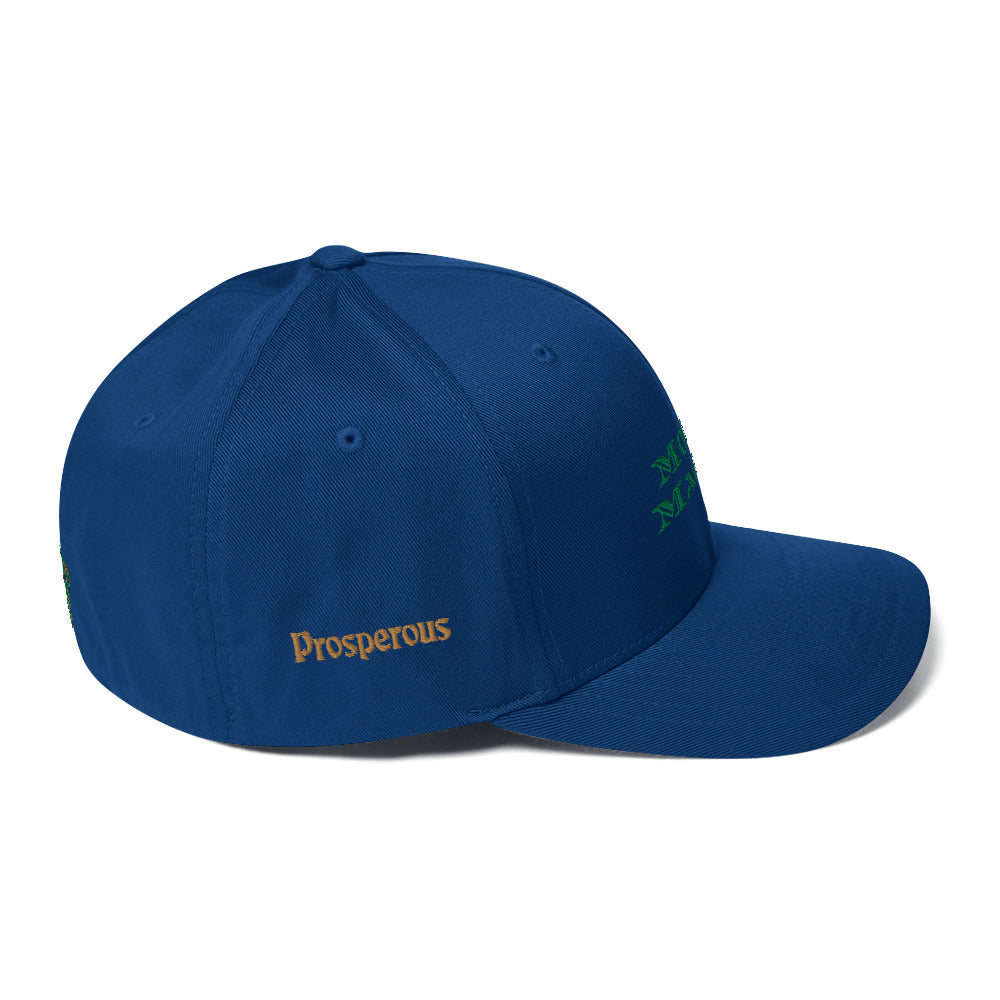 Triple 8 Threads Money Magnet Fitted Cap